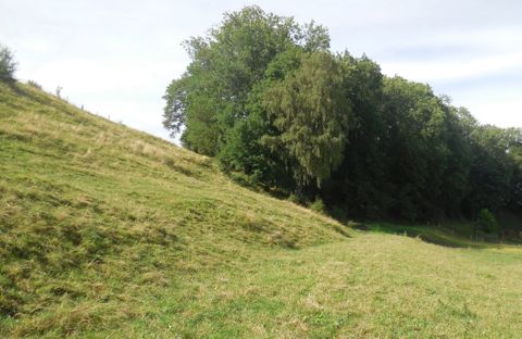 canal-du-riau-graubon torrel scierie