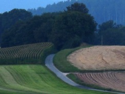 chemin-courbe-ropraz