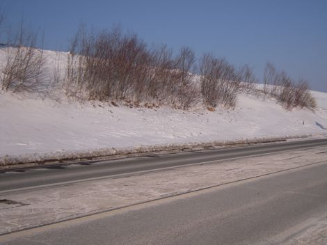 Housse de robinet extérieur à motif de maïs mûrir pour l'hiver