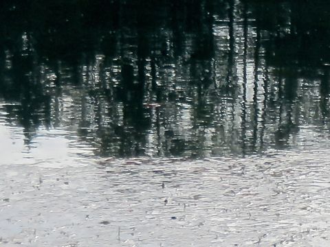Lac de retenue de Mühleberg