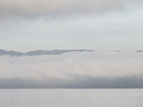 Lac de Zurich