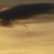 DSCN0033_2