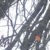 DSCN0159
