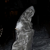 Image 24
