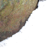 Image 16