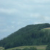 Image 23