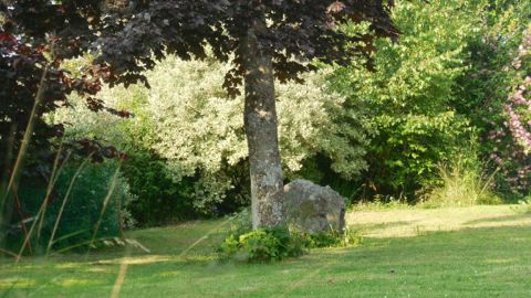 Brouette métal de qualité pour enfant Freud - Central Jardin