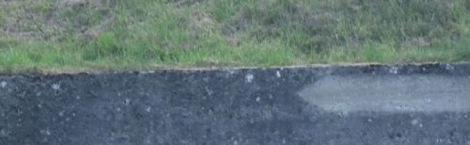 DSCN3612B