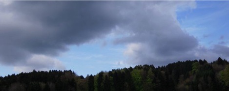 DSCN0307