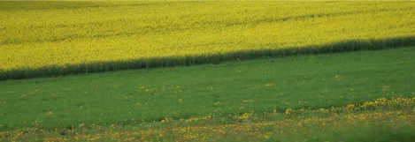 DSCN0620