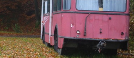 busrose