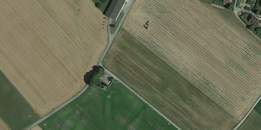 Arnex-sur-Nyon 600m 2009
